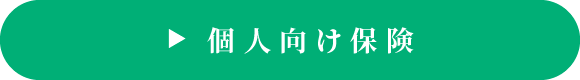 個人向け保険